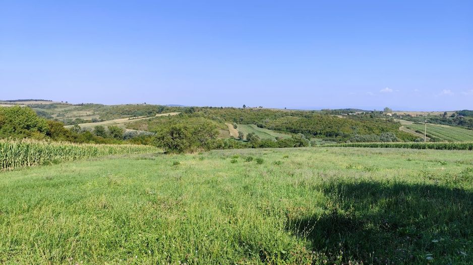 Casa la tara de vanzare, teren mare, 2 intrari auto - Calea Mare, Biho - Poză 20