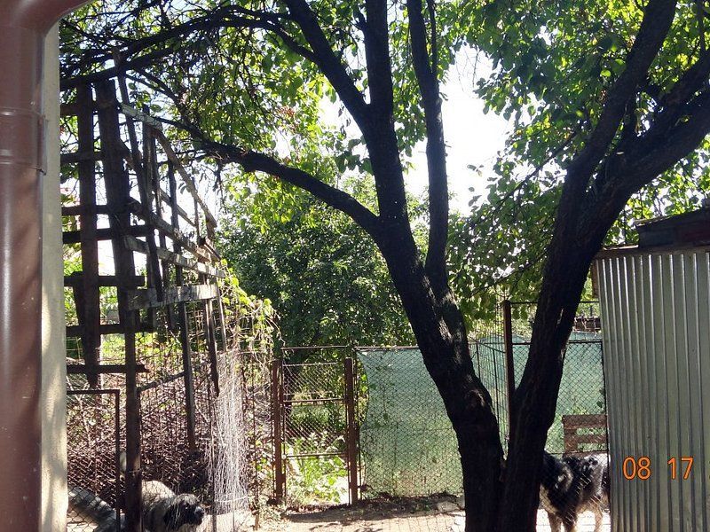 De vanzare  - casa cu 4 camere,  900 mp teren  - str. Razboieni. - Poză 7