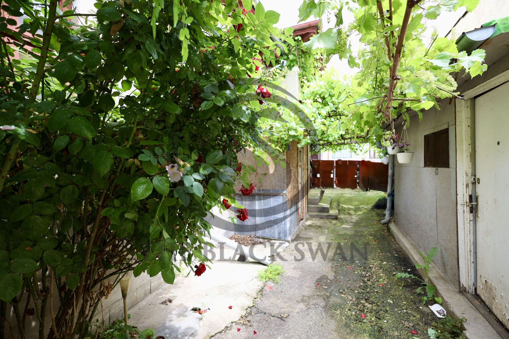 Casa interbelica de vanzare | Ultracentral, Ploiesti | COMISION 0% - Poză 2