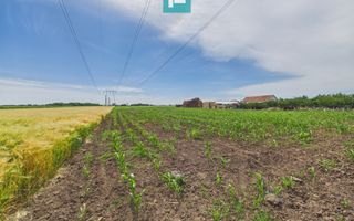 Teren extravilan în suprafață de 10.000 mp, Arad - Poză 11