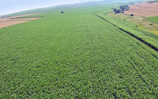 Anunt de test - Teren 5500 mp Cluj-Napoca in Zona Soporului - Poză 2