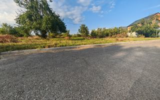 Teren intravilan 1.600 mp Mioveni – Zona Pruni - Poză 1