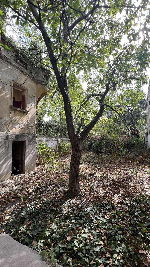 VILA INDIVIDUALA CISMIGIU | INTR. TEMISANA - Poză 8