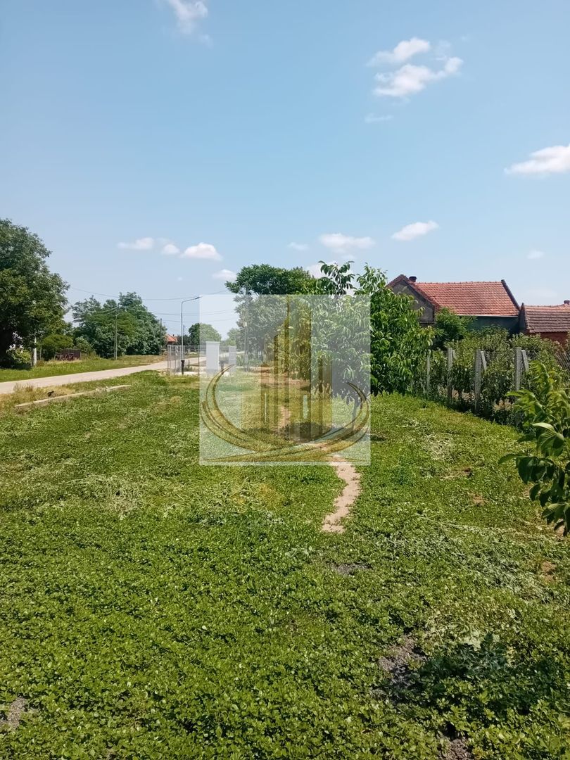 Vand/Schimb Livada Belint 16000mp - Poză 12