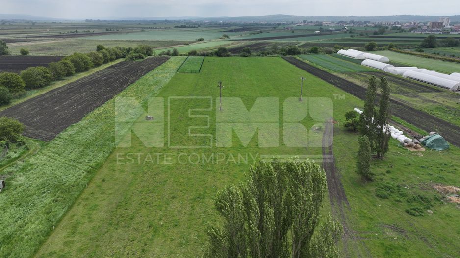 Teren 2648 mp | Strada Francei | Ideal hale sau investitie - Poză 5
