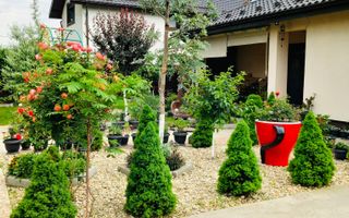 Parter cu structură pentru etaj, curte amenajată și organizare impeca - Poză 22