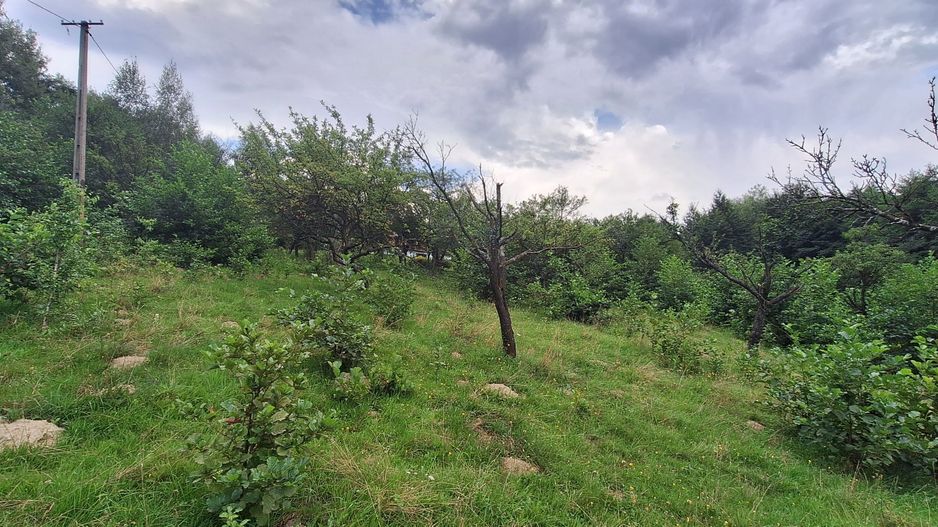 Bran-Predelut doua parcele de 2000+3000mp pret 25 euro/mp - Poză 3