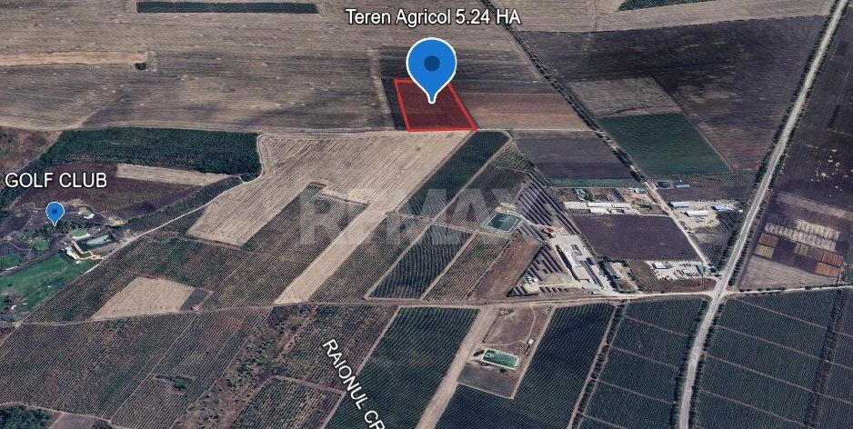 Teren Agricol 5.24 HA com. Cruzești mun. Chișinău - Poză 3