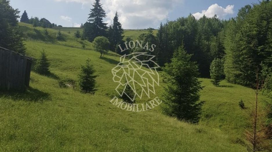 Teren 2,3ha si Padure 1ha-zona deosebita-Pasul Tihuta-EXCLUSIV - Poză 4