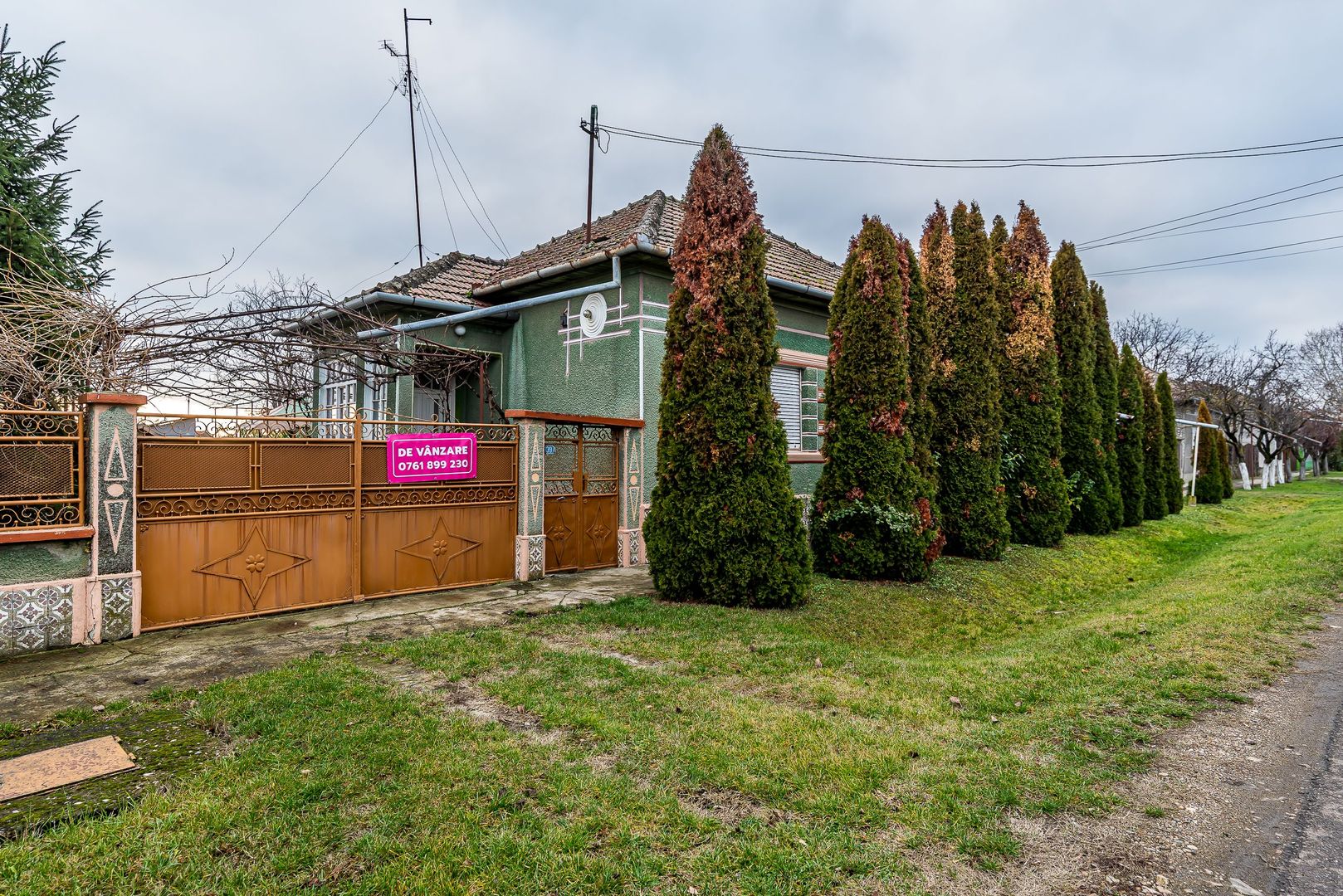 Casă + livadă tânără + curte 2.500 mp în Dorobanți - Poză 1