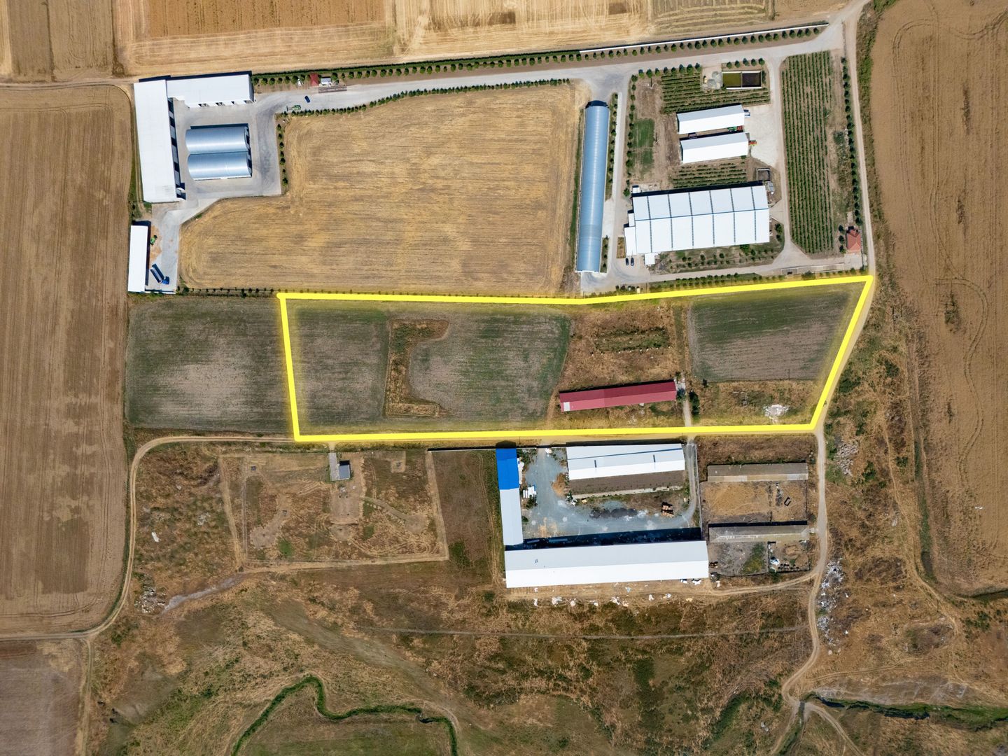 Cogealac - Tariverde – Ferma cu teren intravilan, utilitati racordate! - Poză 2