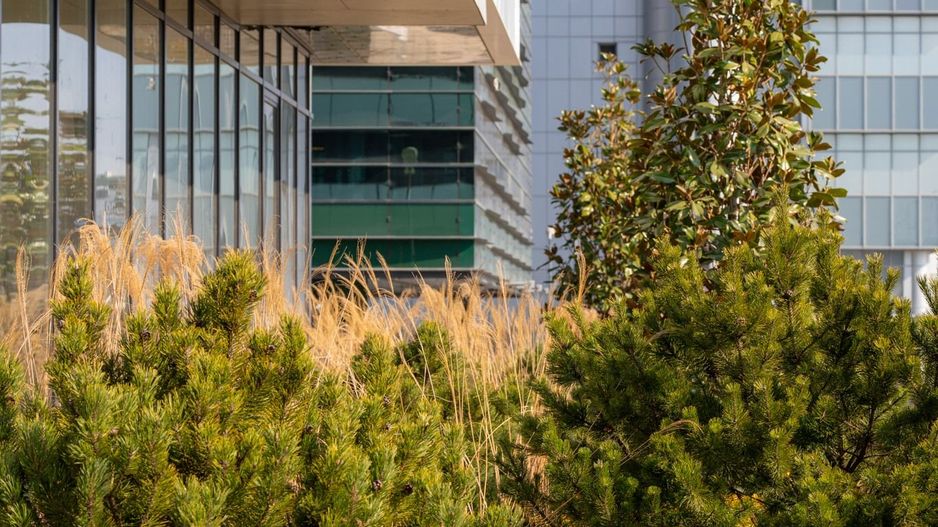 Prima închiriere I Luxury Apartament 3 camere I disponibil imediat - Poză 21