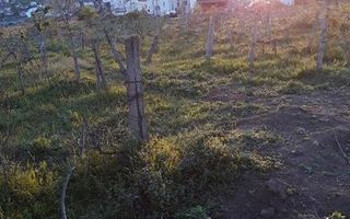 Teren de vânzare în zona Vișan, Iași - Poză 5