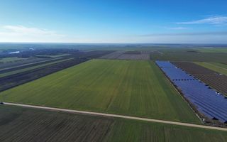 Vând teren extravilan – 11 ha, sat Valter Mărăcineanu, jud Giurgiu - Poză 3