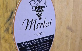 Vie Tradițională „Halta Lupilor” - Poză 5