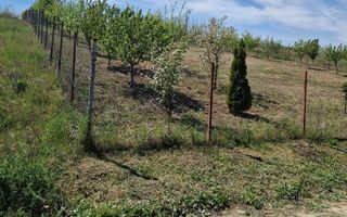 Teren intravilan de vanzare in zona Copou, langa Pensiunea Carolina, Iasi - Poză 2