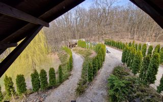 Casa din lemn D+P+M de 400 mp utili si teren 3.000 mp zona Faget - Poză 4