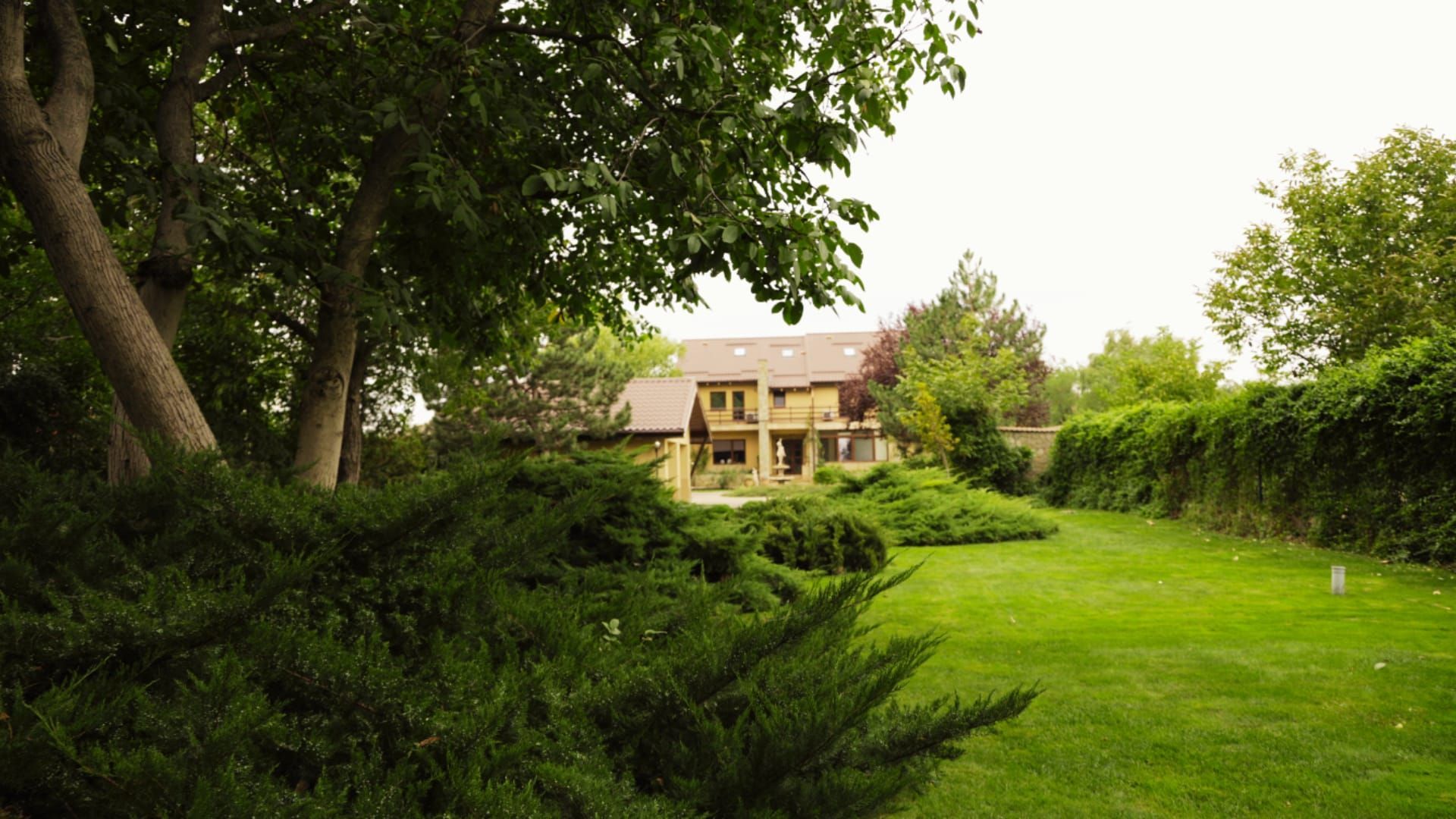 Vila de lux Buftea de inchiriat | 520 mp | teren 2491 mp - Poză 6