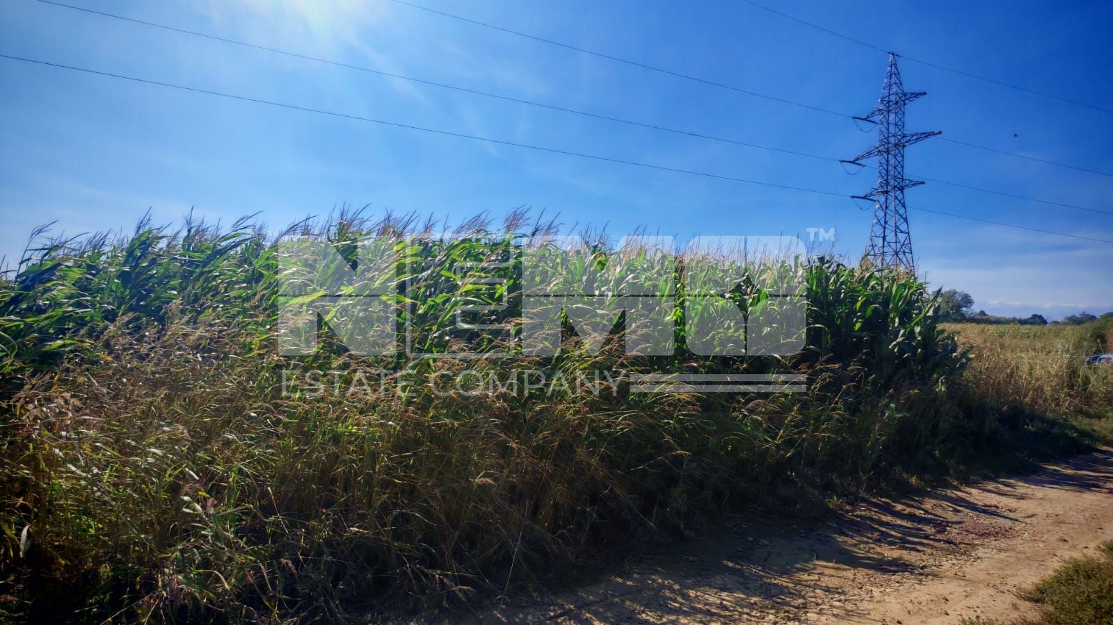 Teren generos | 45 Ari | Utilități în zonă | Deschidere la drum - Poză 2