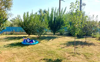 Pensiunea lui Ivan de vanzare | Mila 23 | Chilia Veche - Poză 18