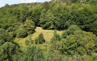 Teren intravilan de 1500 mp pe deal în Moneasa - Poză 8