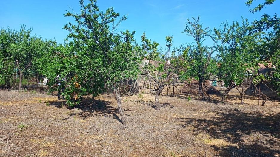 Restaurant 175 mp si apartament 71,7 mp  vanzare Centru Oradea - Poză 10