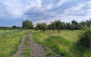 teren intravilan in sag 1271 mp - Poză 3