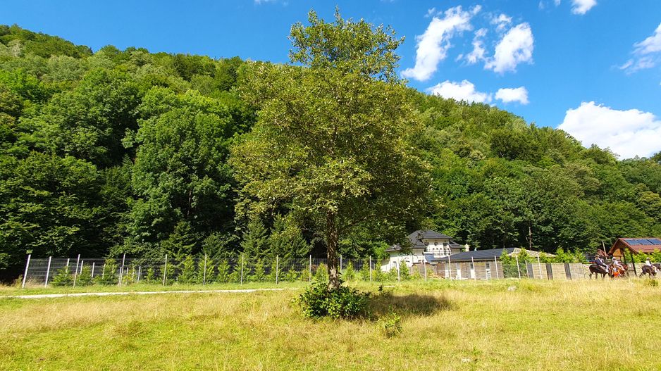 Superb!Zarnesti, Piatra Craiului, teren intravilan 1000mp, acces direct  la rau - Poză 11