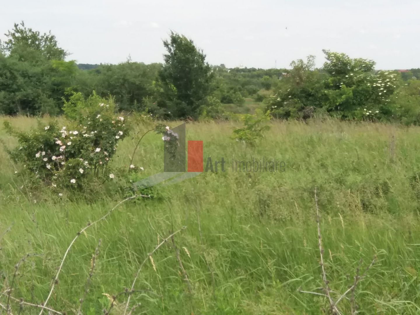 Teren cu iesire la lac - Poză 22