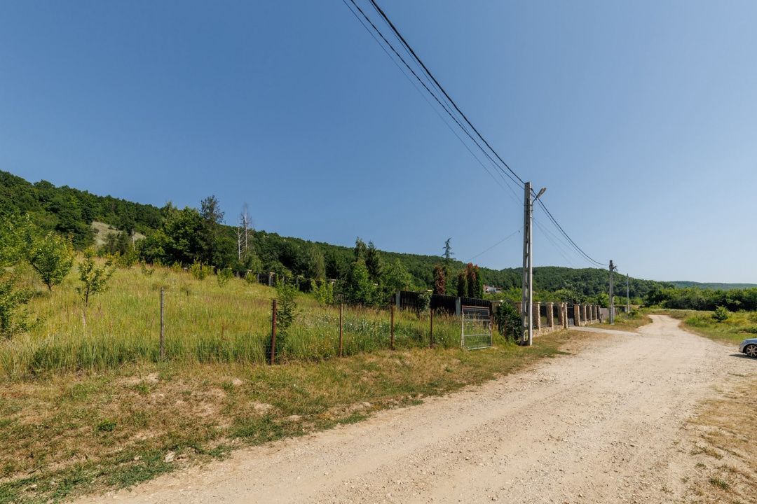 Teren intravilan Ștefănești Valea Mare Podgoria - Poză 3