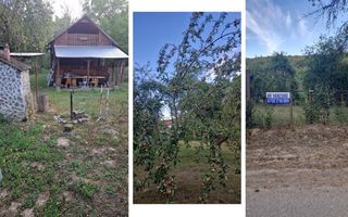 Teren de vacanță 5600 mp cu cabană, Utilitaiile Căsoaia jud Arad - Poză 3