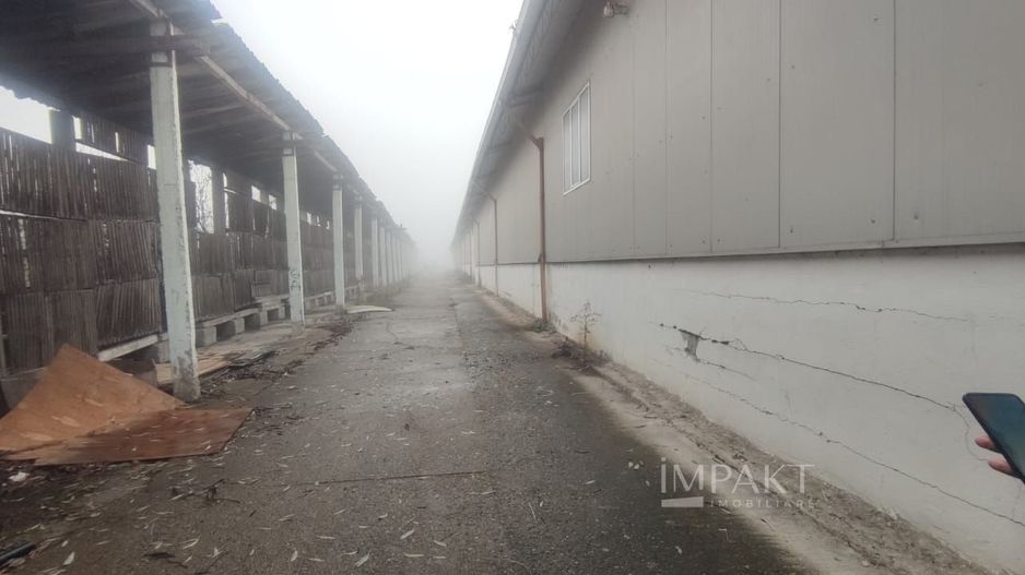 De inchiriat hale pentru productie/depozitare - Baciu 5E/m2 - Poză 3