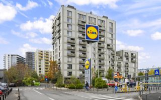 2 Camere Mobilat Utilat | Aviatiei Park | Aviatiei Herastrau - Poză 22