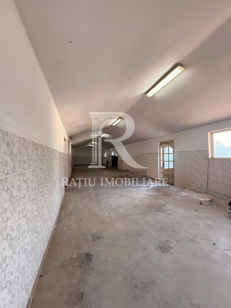 Casă cu Hală Industrială | Teren 3.200 mp | Ineu | Bihor - Poză 24