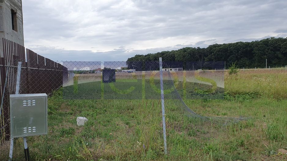 VANZARE TEREN 1500 MP| GHERMANESTI | PADUREA SNAGOV - Poză 1