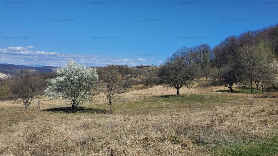 Ocazie ! OCNELE MARI - Sorat, 17,83 Ha. cu pozitie exceptionala - Poză 4