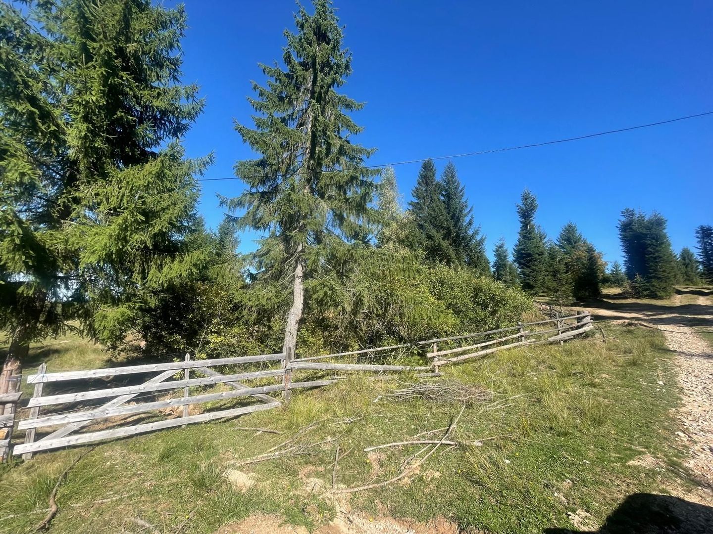 Teren Intravilan | Dealul Negru | Investiție | 1500 mp - Poză 1