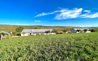 Ferma de vanzare cu 550MP utili si 27.500MP teren la asfalt - Poză 28