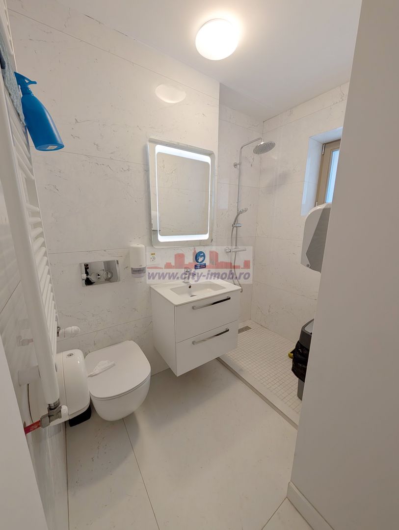 Inchiriere Vila noua Individuala Domenii / Mihalache - Poză 18