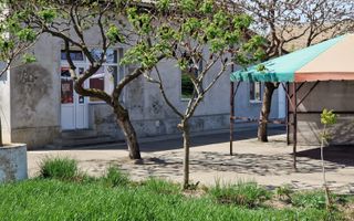 Spațiu comercial | DN69  | comuna Pesac | 50 km de Timișoara - Poză 6