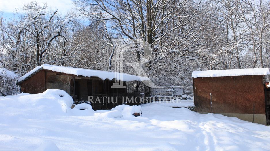 Proprietate rară | 4458 mp teren intravilan | Casă solidă, natură, liniște totală. | Bratca, Bihor. - Poză 51