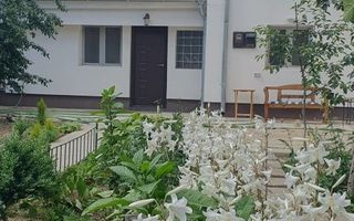 Casa Aviatiei-Herastrau - Poză 2