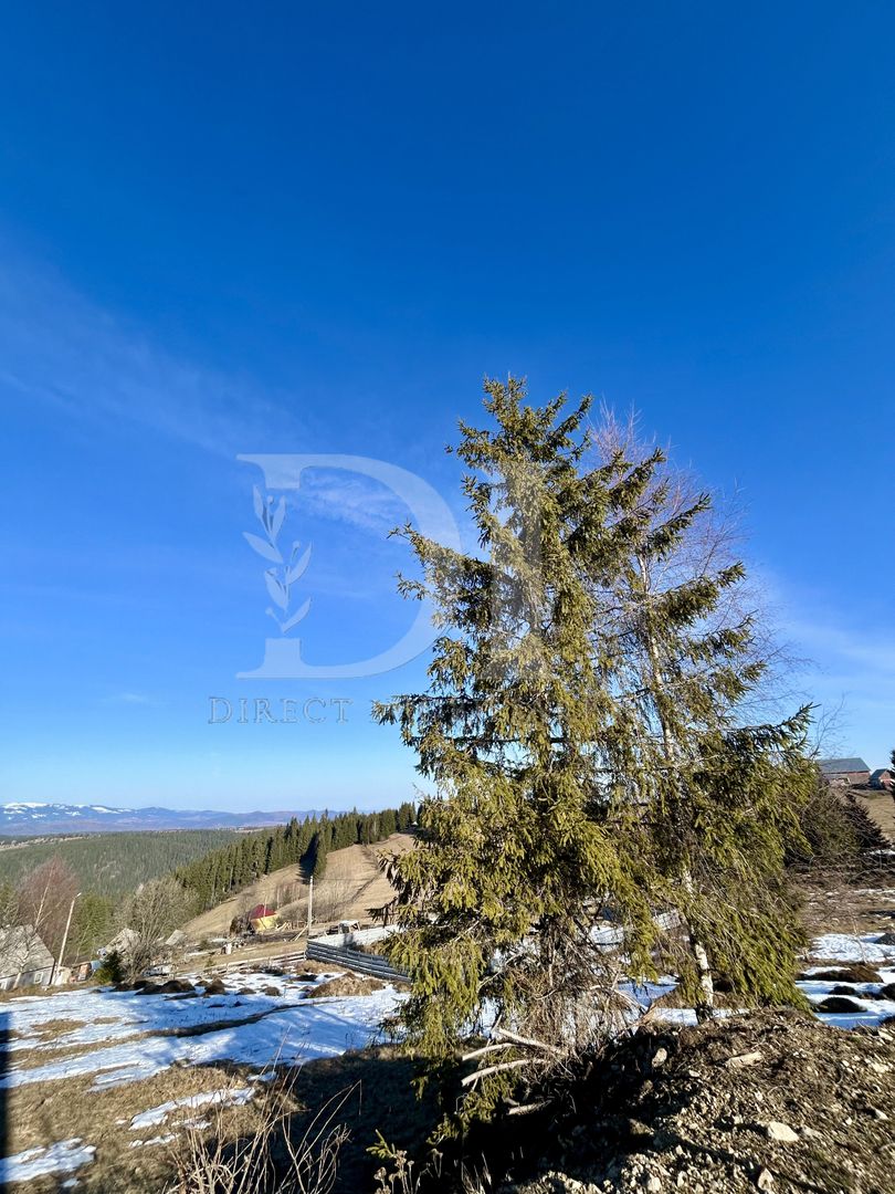 Cabana tip A frame si teren 1000 mp de vanzare / Marisel . Cluj - Poză 11