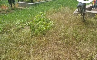 Loc de veci în Cimitirul Buna Vestire, Parcela 6, Rând 5, Locul 16 – 2.300 Euro - Poză 1