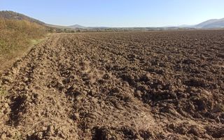 Teren 7500 mp-ideal agricultura, invetitie-Sarata - Poză 2