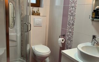 Casa Unifamilială 5 camere de vânzare SIBIU / Loc. Șura Mică - Poză 17