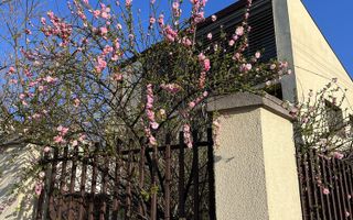 Vilă spectaculoasă în zona Brâncoveanu | 270 mp | Garaj| Curte proprie - Poză 7