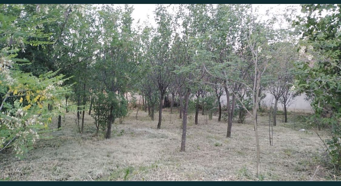 Ocazie Unica-2 Case+1 loc teren - Poză 4