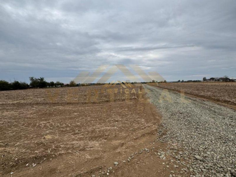 Teren Intravilan 500 mp, comuna Vidra - Poză 2