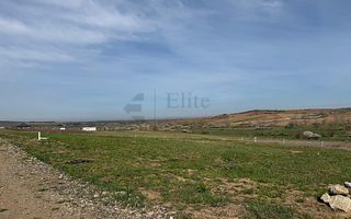 Teren intravilan 700 mp de vanzare in Paleu - Poză 8